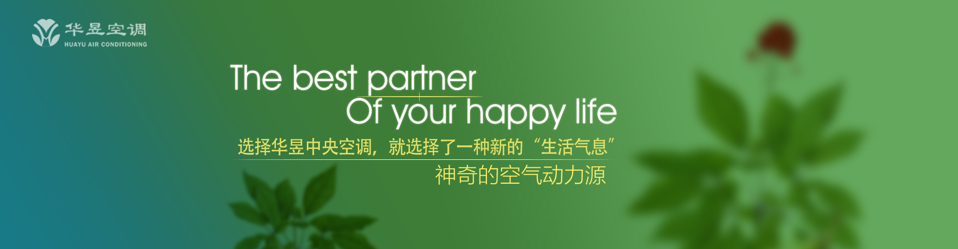 岑楼齐末网